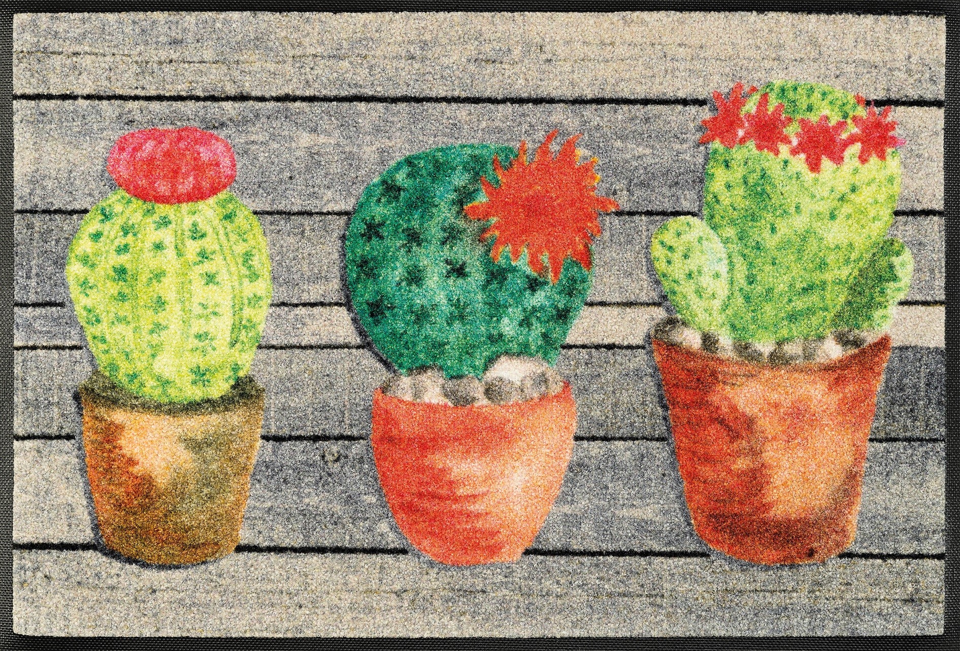Jardin de Cactus