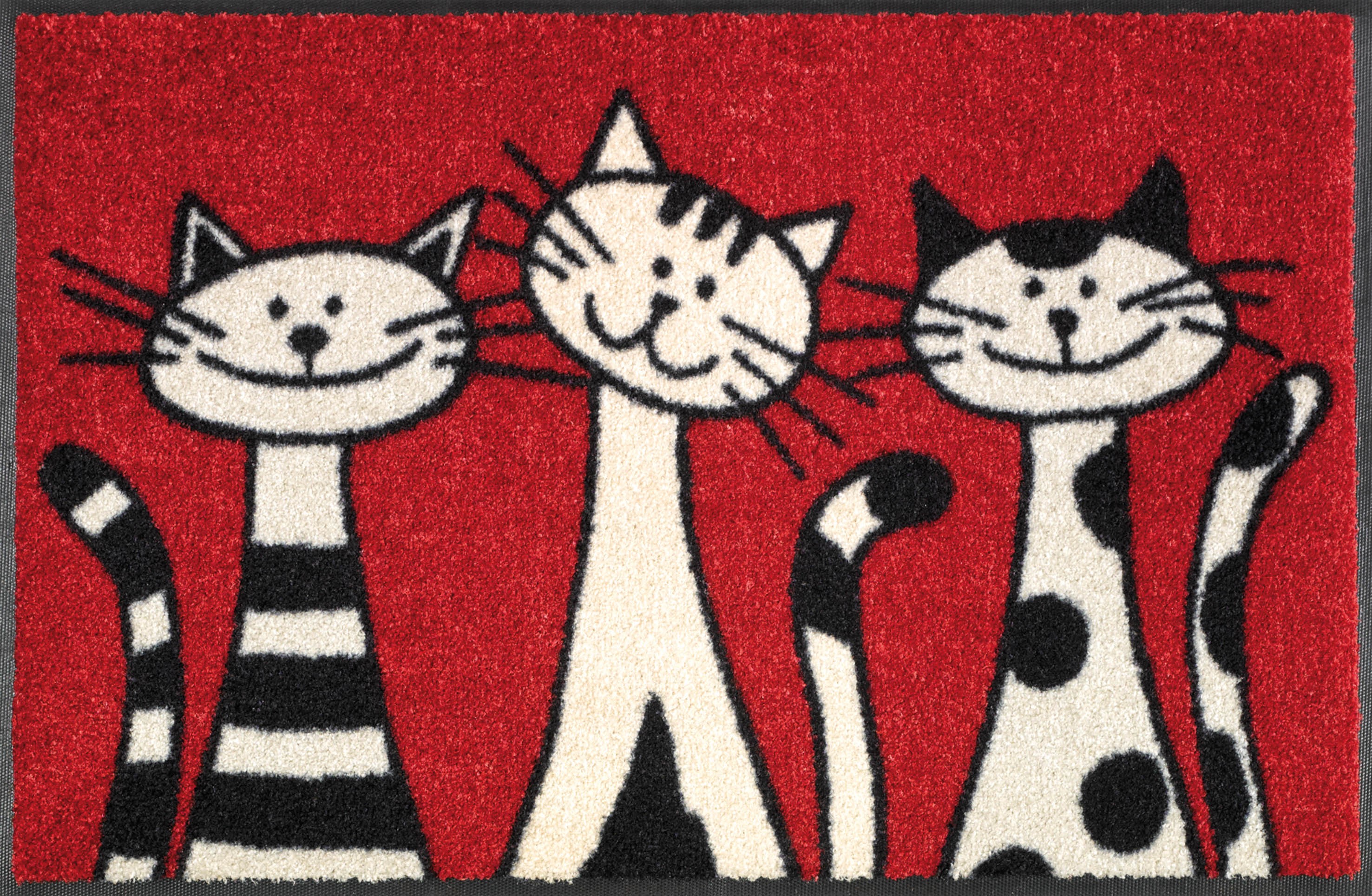 Three Cats